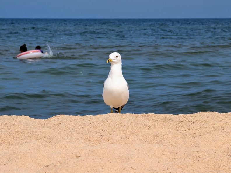 PXL 20240730 155224743 