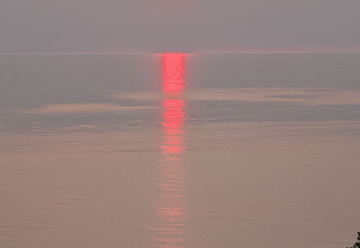 PXL 20240731 005109299