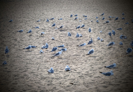 PXL 20240731 134440119 