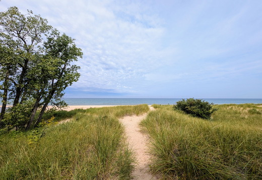 PXL 20240731 151749197 