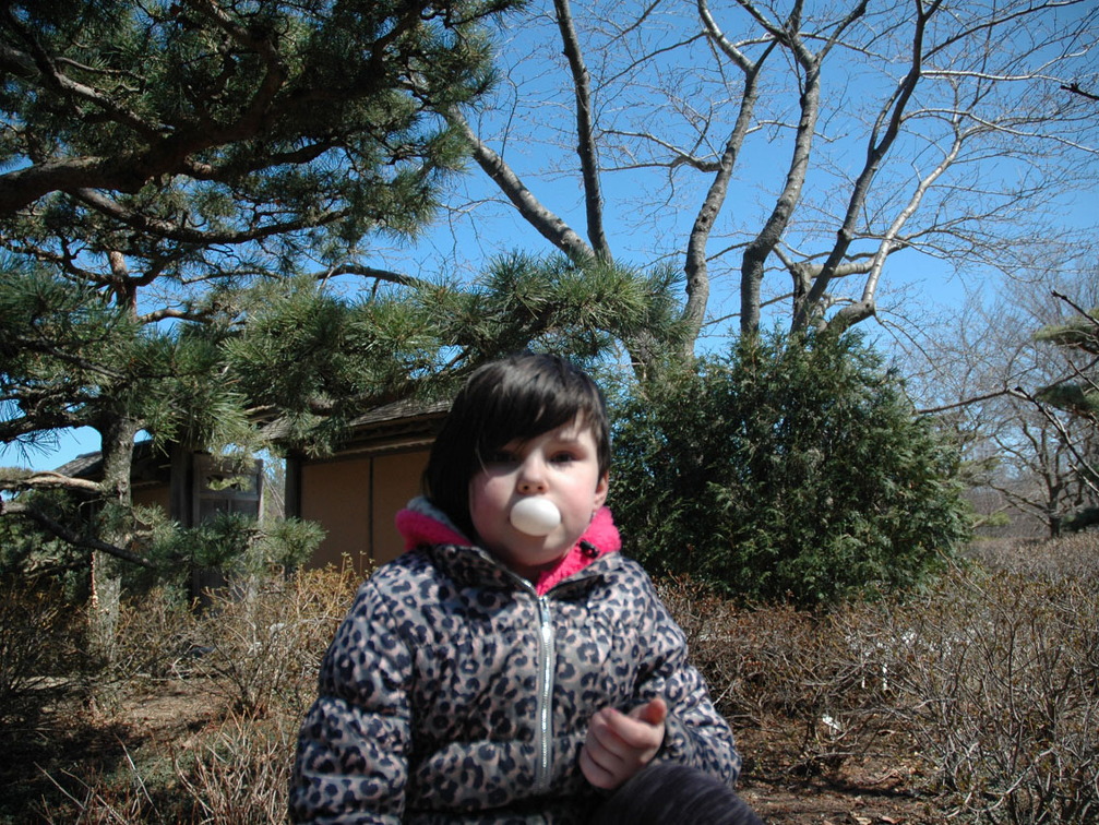 aiyana-botanical-gardens