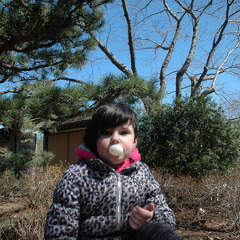 aiyana-botanical-gardens