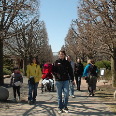 botanical-gardens-ash12