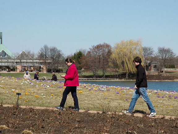 botanical-gardens-ash4