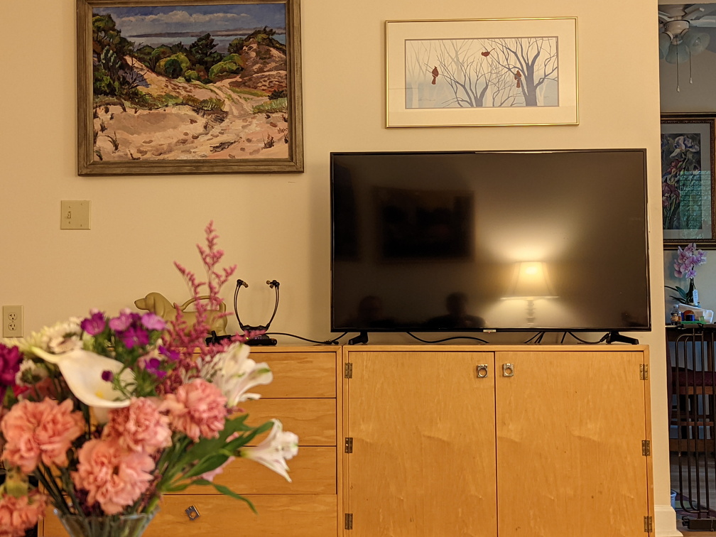 PXL 20220514 184818325