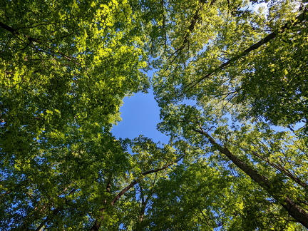 PXL 20220515 140035500