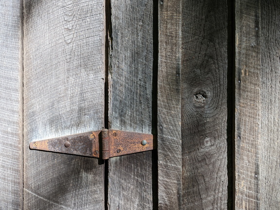 PXL 20220515 141257699