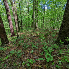 PXL 20220515 151017521