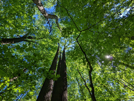 PXL 20220515 151115137