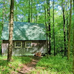 PXL 20220515 140153212.TS