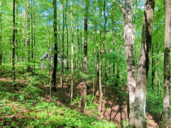 PXL 20220515 140610416.TS