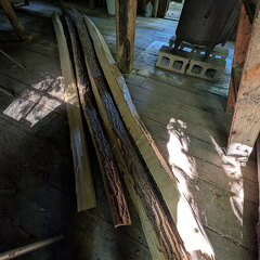 PXL 20250906 151112242