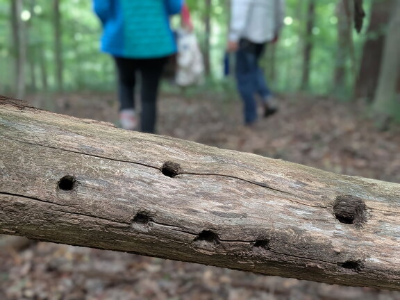 PXL 20250906 181900203