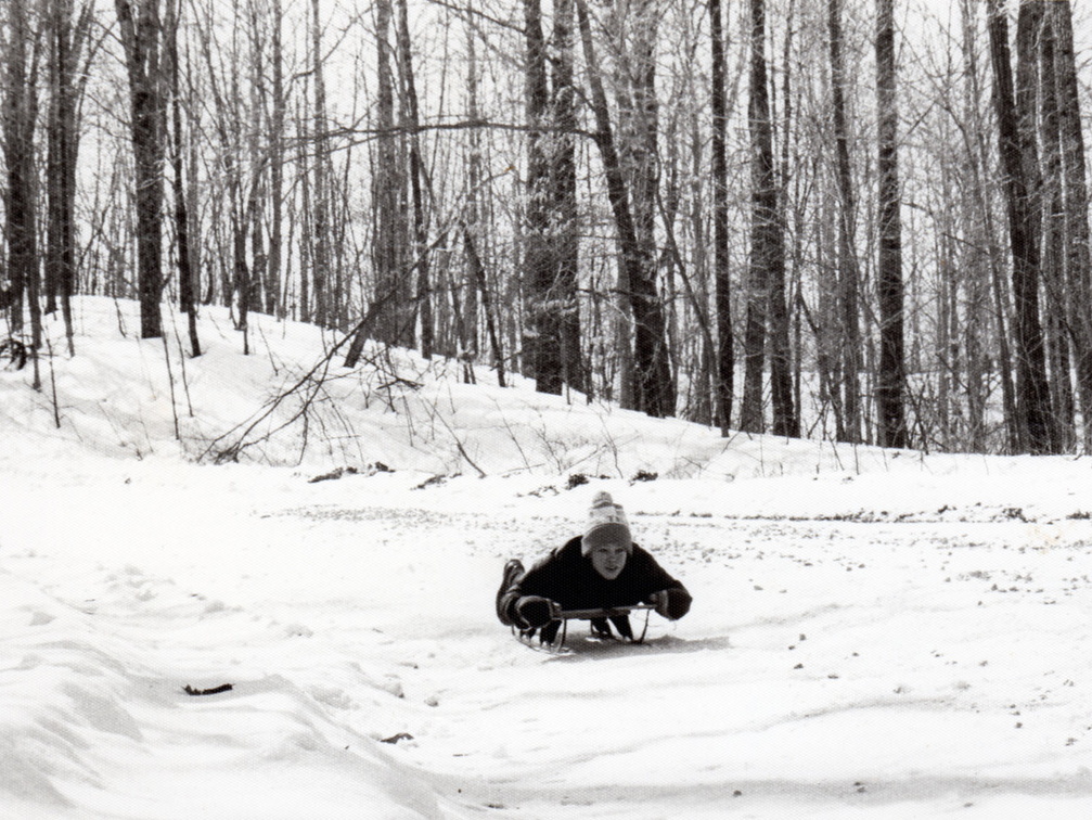 Graham-fisk-forest-sledding