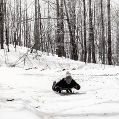 Graham-fisk-forest-sledding