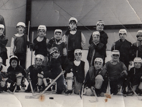 Hockey-Mites