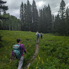 Beckwith Pass Trail