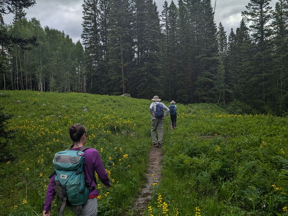Beckwith Pass Trail