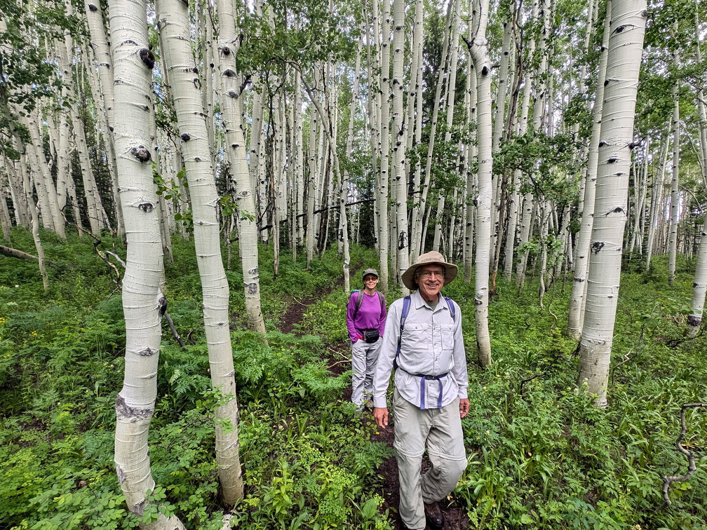 Beckwith Pass Trail - Aspen
