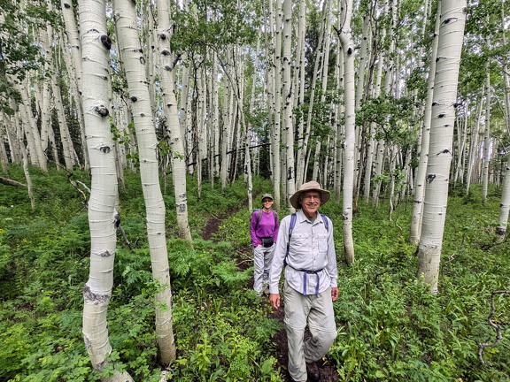Beckwith Pass Trail - Aspen