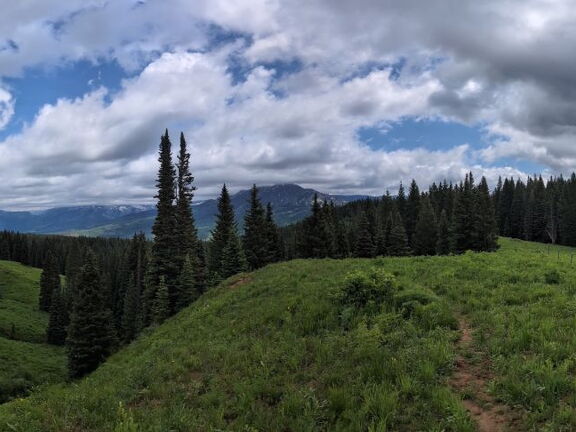 PXL 20240628 174521716