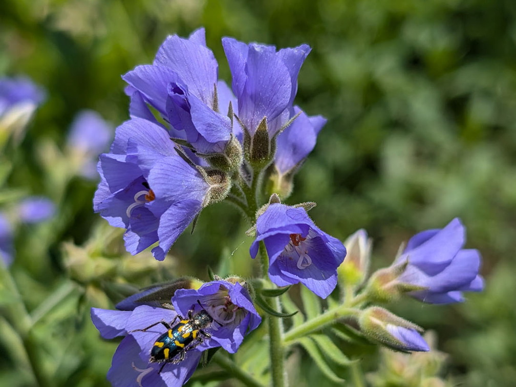 PXL 20240628 190642988