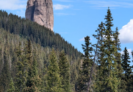 Wetterhorn Basin Trail