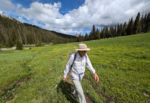 Barth - Wetterhorn Basin Trail