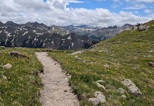 West Fork Pass - Wetterhorn Basin Trail