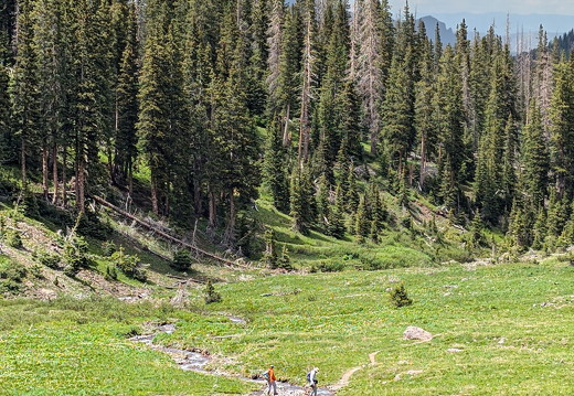 PXL 20240630 205417825