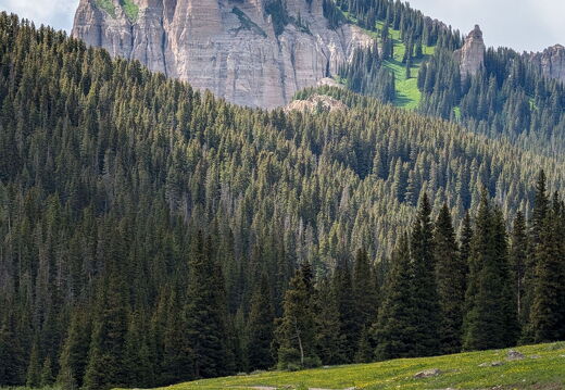 Wetterhorn Basin Trail