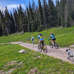 Wetterhorn Basin Trail