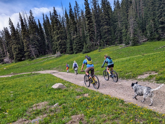 Wetterhorn Basin Trail