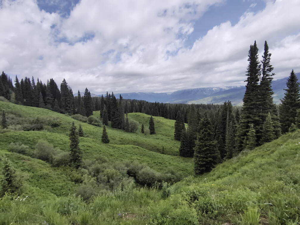 Beckwith-Pass-PXL 20240628 174605016