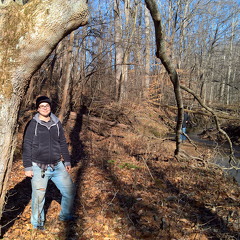 WP-20161230-12-00-10-Pro1