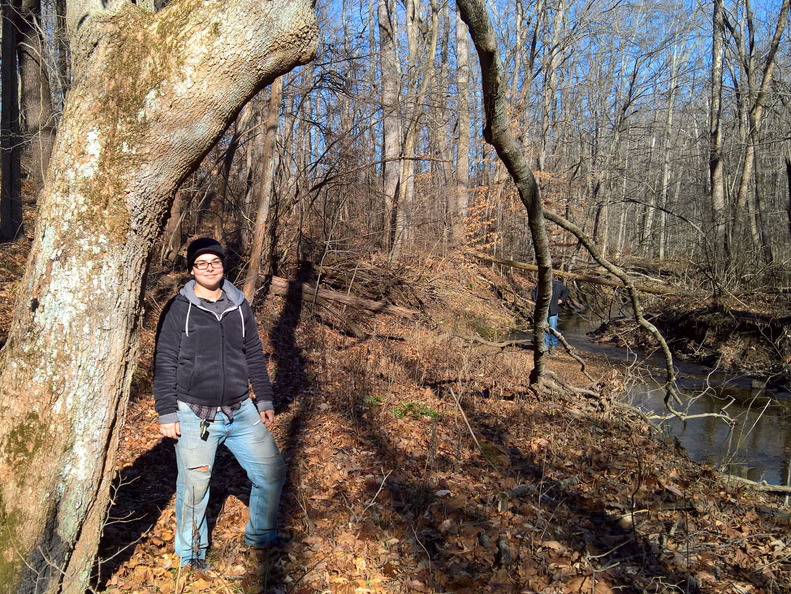 WP-20161230-12-00-10-Pro1