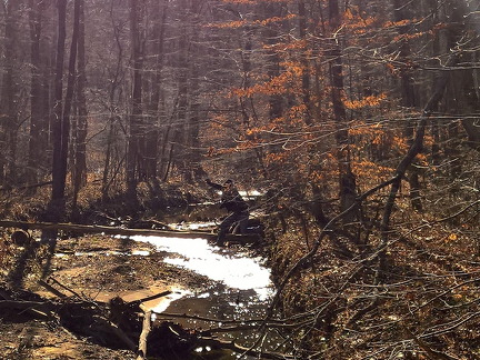 WP-20161230-12-04-13-Pro