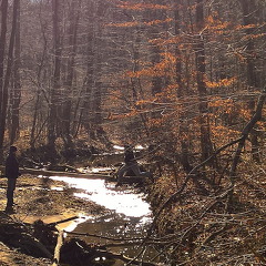 WP-20161230-12-04-22-Pro