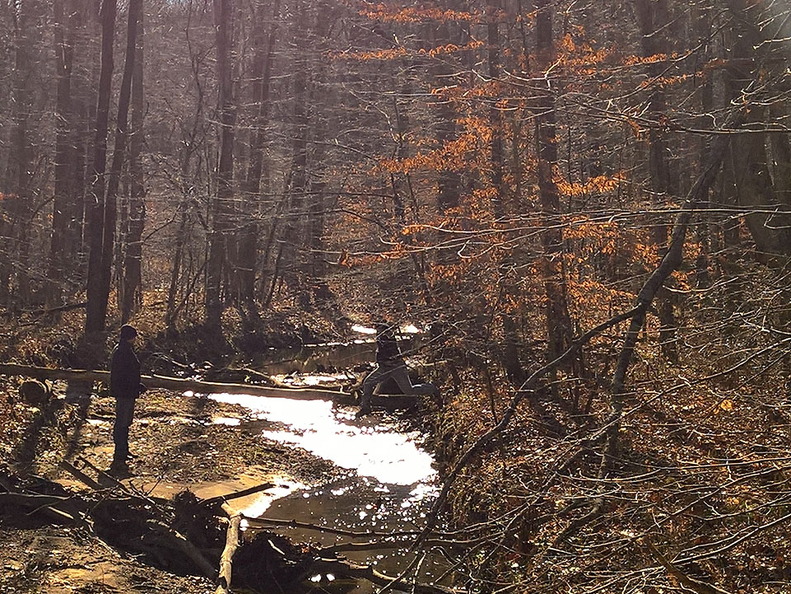 WP-20161230-12-04-22-Pro