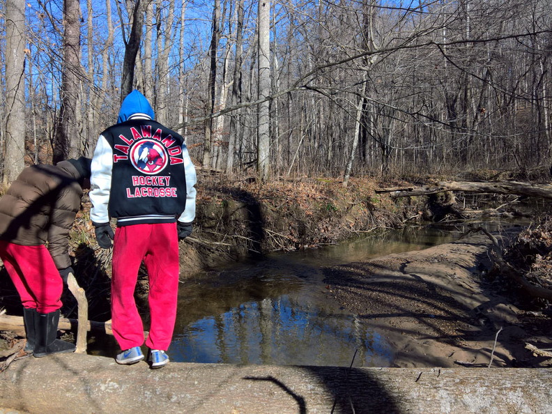 WP-20161230-12-06-37-Pro