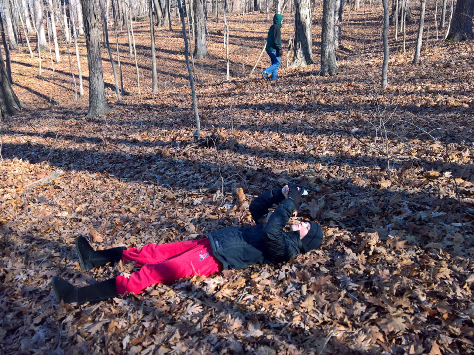 WP-20161230-12-19-50-Pro