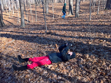 WP-20161230-12-19-50-Pro