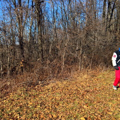 WP-20161230-12-21-21-Pro