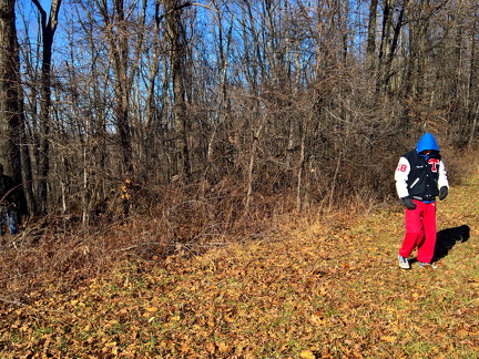 WP-20161230-12-21-21-Pro