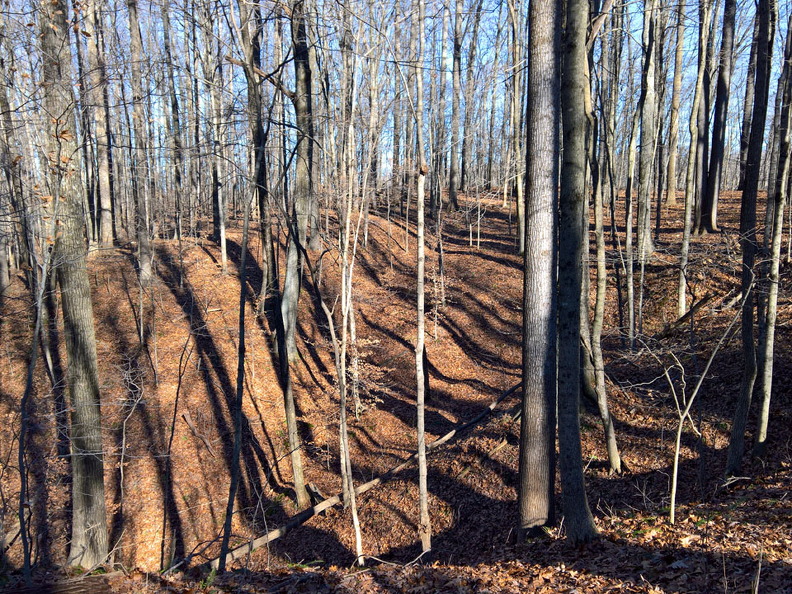 WP-20161230-13-44-33-Pro