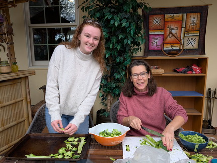 PXL 20241228 173214138