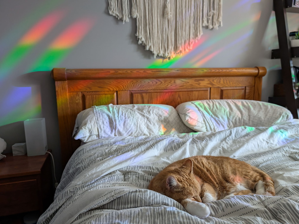 PXL 20241228 184516053--Cat