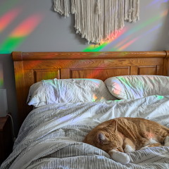 PXL 20241228 184516053--Cat