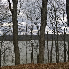 WP-20161229-15-04-12-Pro