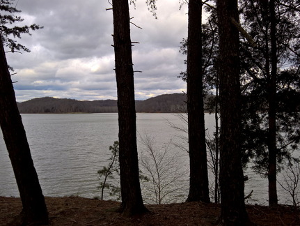 WP-20161229-15-13-56-Pro